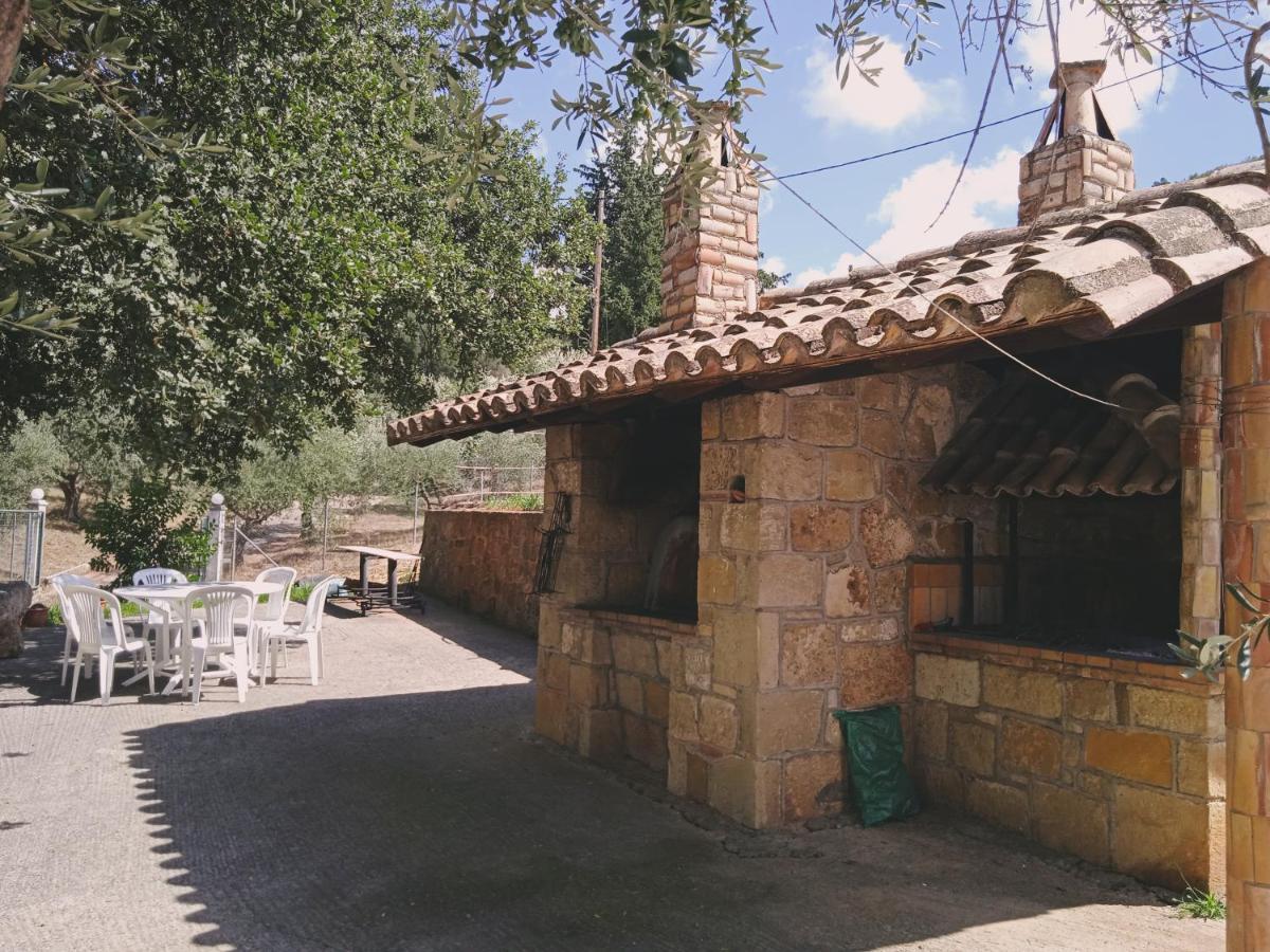 Olympia House Villa *